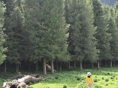 -新疆那拉提国家旅游度假区