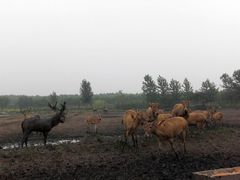 -溱湖国家湿地公园