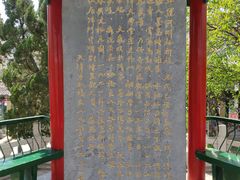 -桃花堤公园