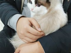 -瑞鹏瑞爱宠物医院·全科·猫科·血液透析中心(龙头寺店)