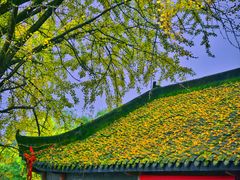 -佛荫寺