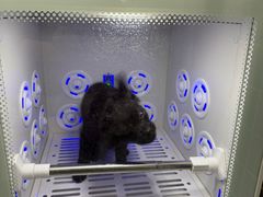 -它主义宠物(梁溪万达店)