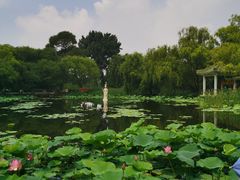 -北陵公园