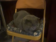 -吹泡·Triphop(棋盘店)