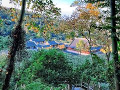 -树山生态村