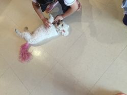 -Pink You美甲美睫纹绣定制中心