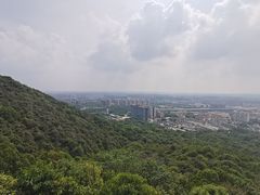 -杭州半山国家森林公园