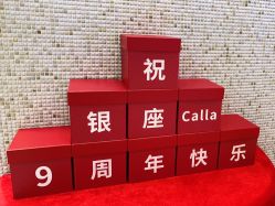 -银座Calla日式美容沙龙