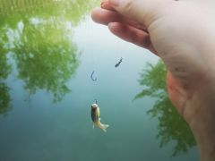 -酷鱼垂钓CLUB(朝阳区博大路店 )