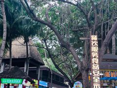 -海南分界洲岛旅游区