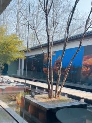 -爱儿美儿童摄影(朝阳公园店)