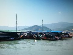 -小皓村