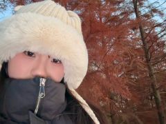 -合肥滨湖国家森林公园