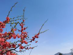 -北京鹫峰国家森林公园