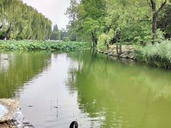 -近春园遗址