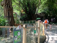-深圳野生动物园