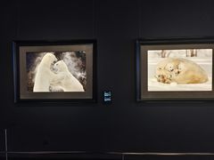 -罗红摄影艺术馆