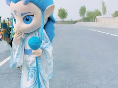 -荷兰花海