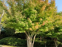 -天鹅湖体育公园