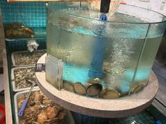 -大哈福烧烤·海鲜·家常菜(延安三路店)