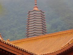 -深圳仙湖植物园