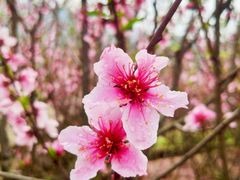 -楠溪江风景名胜区