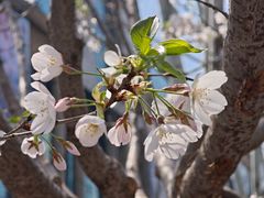 -东方豪景花园酒店·怡景旋转餐厅