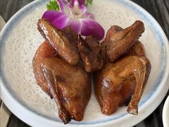 -鸽鸟轩(石岐店)