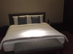 璞丽酒店-上海璞麗酒店
