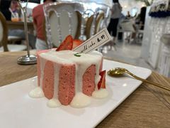 -共舞时光猫咖·狗咖(新街口店)