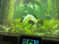 -珠海横琴国家地理探险家中心(创新方)