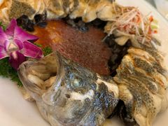 -博雅渔港·融合菜(维也纳国际大酒店)