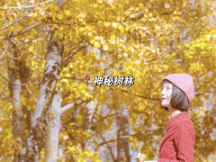 -布达拉宫