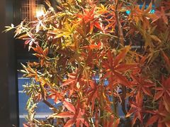 -首秀·四川料理(星耀101店)