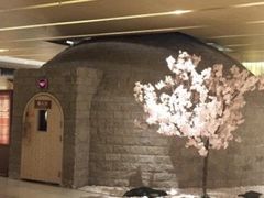 -嘉悦汗蒸时代(曙光路店)