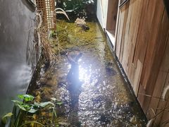 -邈墨茶馆(凤起路店)