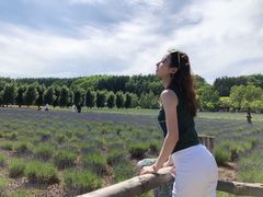 -富田农场
