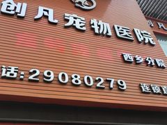 -创凡宠物医院·骨专科  猫科中心(西乡分院)