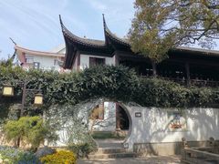 -上海醉白池公园