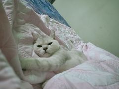 -百信宠物医院(东升街店)