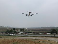 -空港花田景区