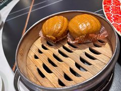 -新概念来凤鱼(璧山店)