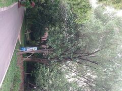 -昆山城市生态森林公园