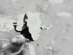 -烈士陵园(地铁站)
