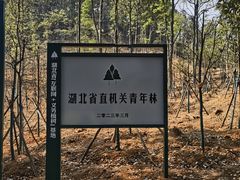 -青龙山国家森林公园