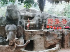 -野象谷景区