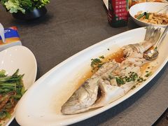 -味到1981日照海鲜·渔饺子
