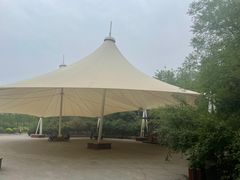 -塘沽森林公园