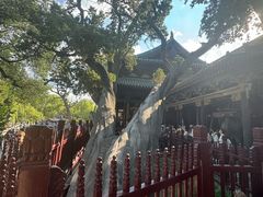 -晋祠公园