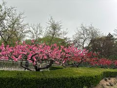 -元大都城垣遗址公园